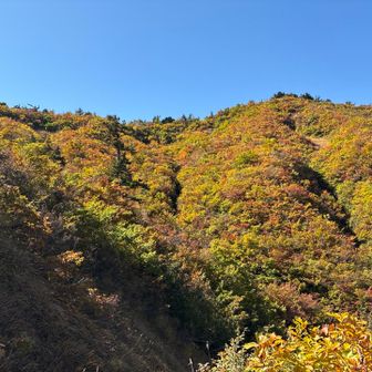 この辺が一番だったね。
