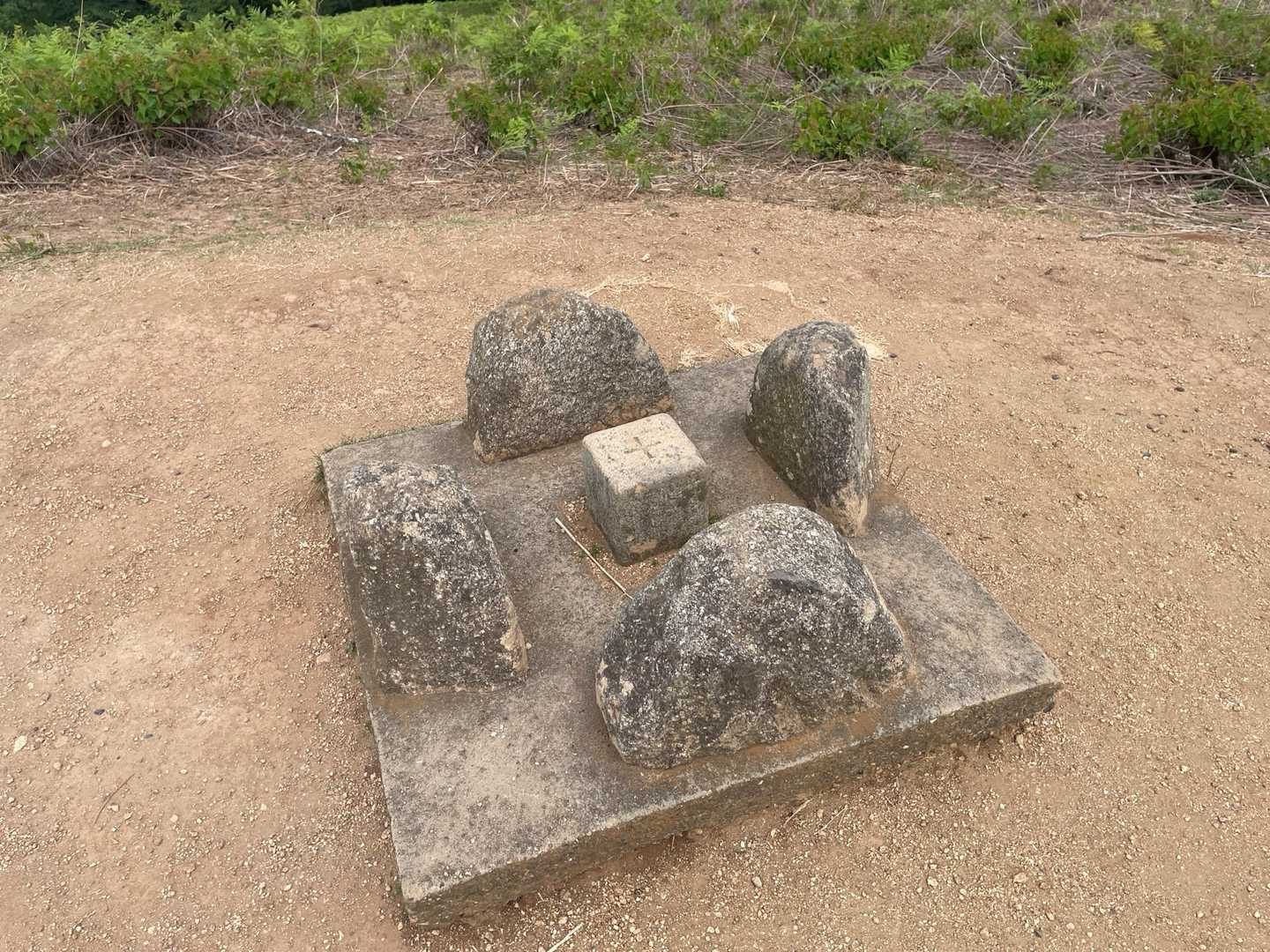 わーい🙌(標識なかったっけ？)
