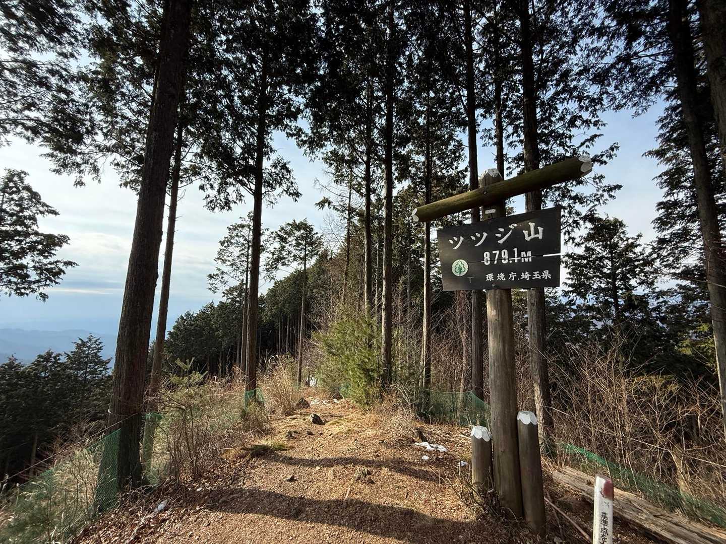 正丸駅-ツツジ山-ぶな峠-飯盛山-飯盛峠-関八州見晴台-関 縦走コースの写真