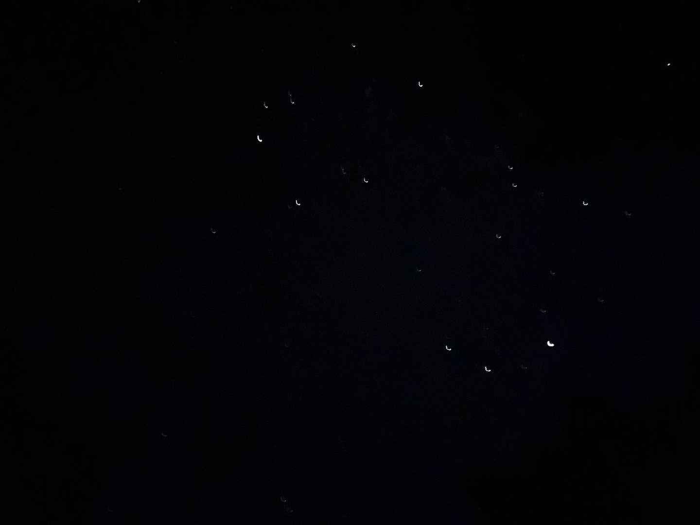 ２日目は4時出発なんだけど…