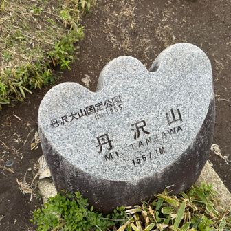 丹沢山到着。2月の蛭トン以来。