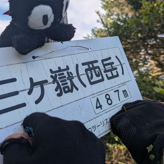 西岳にゃん🐾