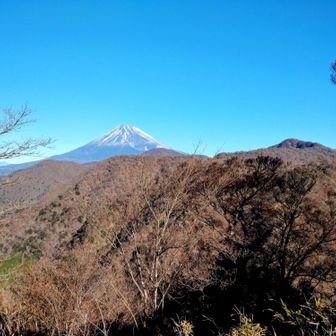 愛鷹山から、目指す位牌岳（右）を見る。