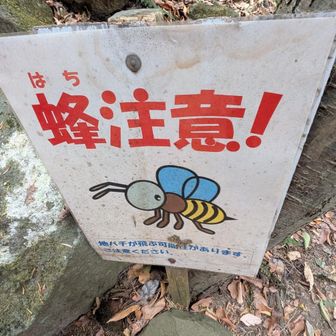 いや〜ハチに注意⚠️だってっさ〜！
今いるんけ？😅
いねっすよね〜😄