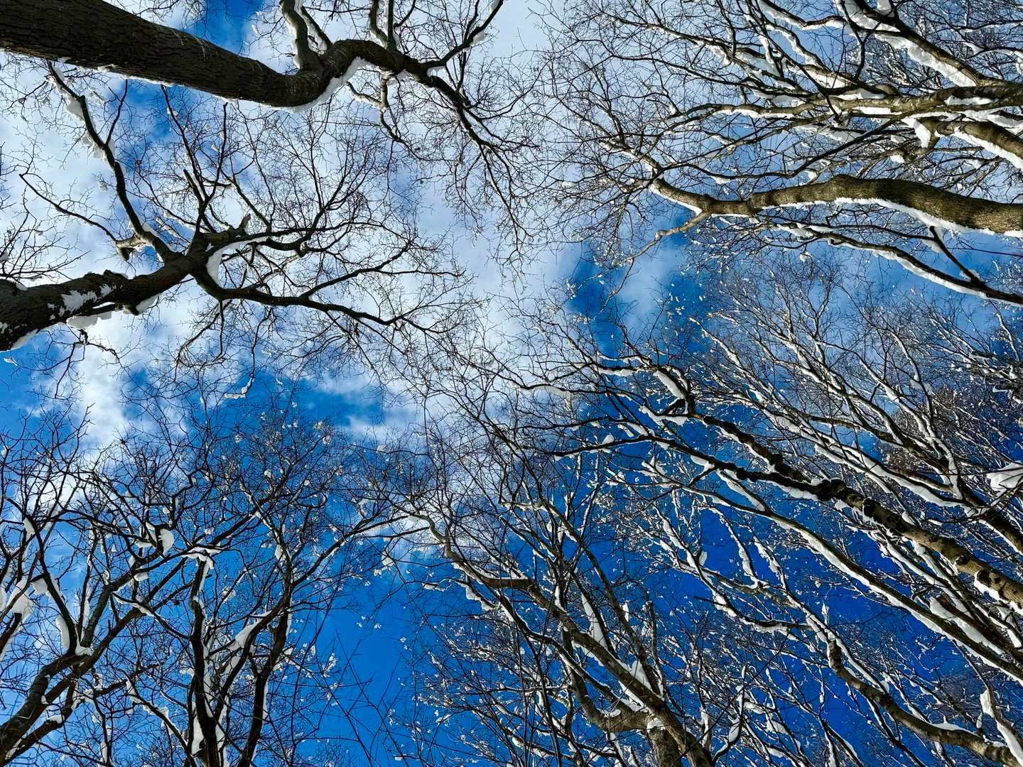 雲が多いけど、所々ある青空の色が濃い
冬の空だよ