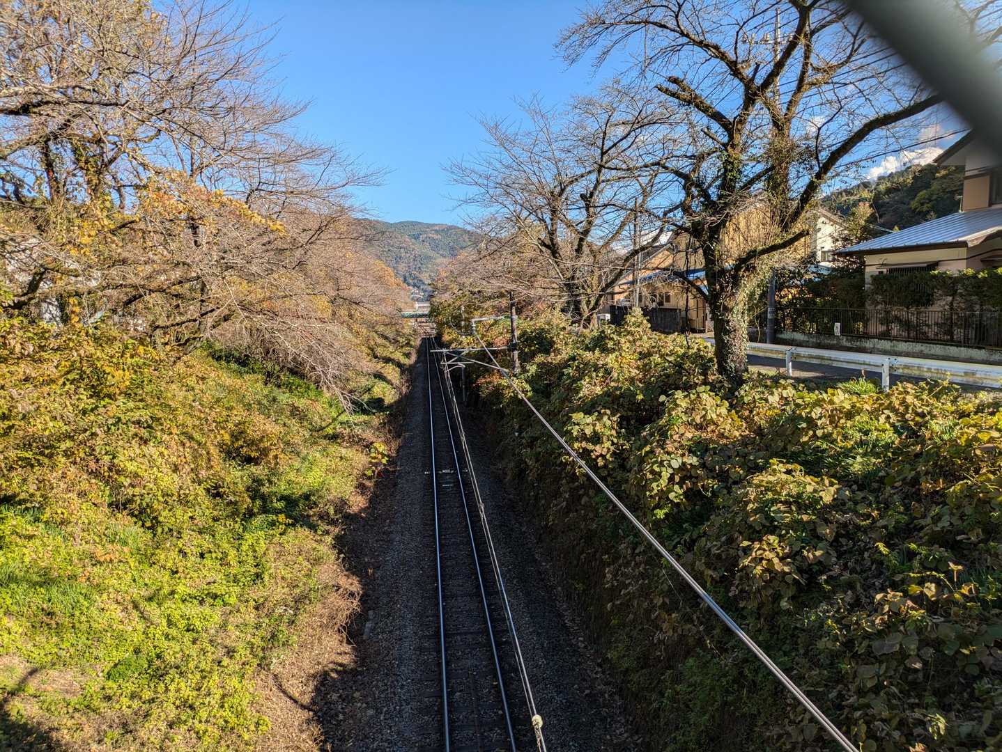 桜並木
春は鉄ちゃんで賑わうとか🚆
