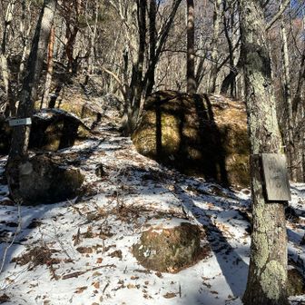 少し登ったら亀石がありました🐢