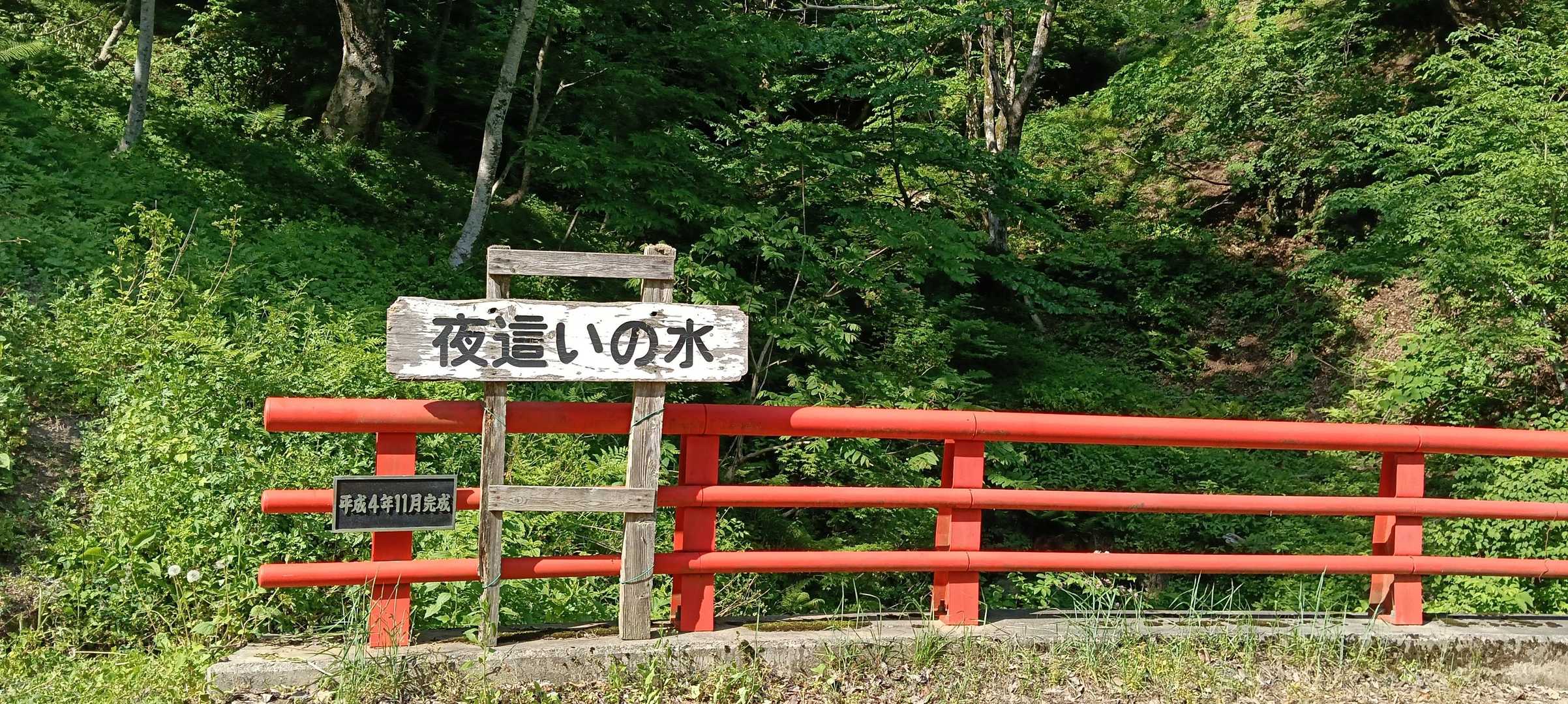 この水を飲んで夜這いを頑張ります。
