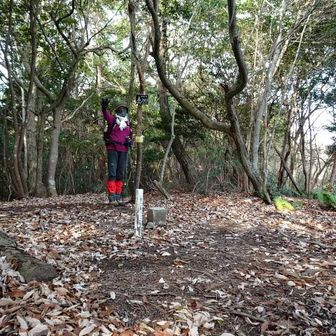 更に登って行くと金山に着く。 金山には三等三角点（点名：平祖）がある。