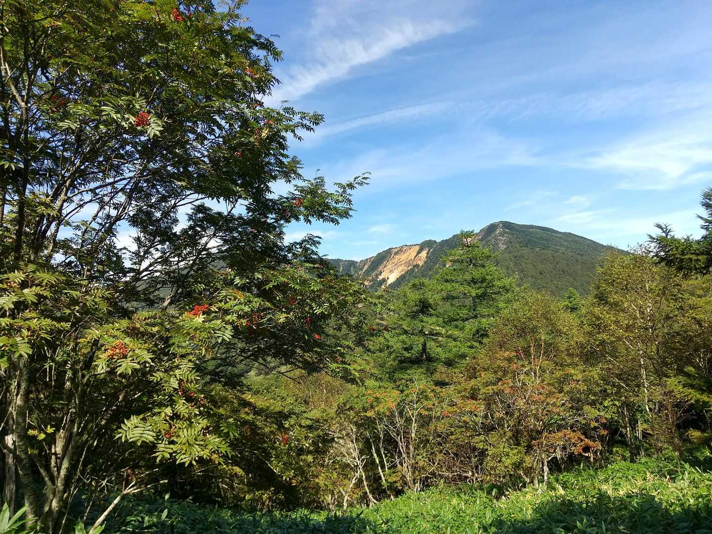 ナナカマドの赤い実が目を引きます

水の塔山から東篭ノ登山、山腹の林道も見えます