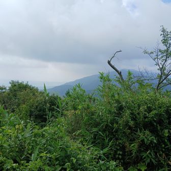 二上山雌岳から葛城山　あれを登るのか、と思っているところ