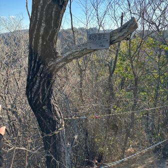 階段いっぱい登って、、、着いたー
13 私市富士