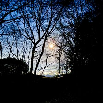 ピンクムーンが、下山時、東の宙から高崎山山頂を照らしてくれました。高崎山に感謝です。