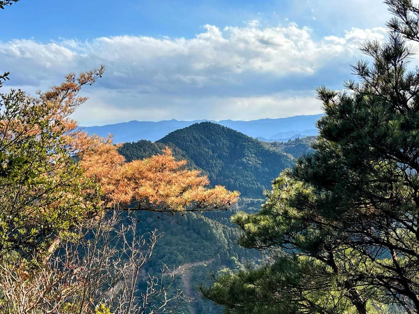彦岳 往復コースの写真