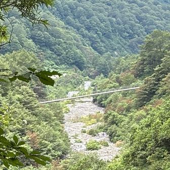 行きに登山口すぐに渡った吊り橋が見えてきた。
下山日は雨降ることなく、無事に下山でき、リベンジは大成功となった👍