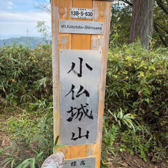 高尾山山頂標識に足タッチ記念撮影していた🇹🇼台湾女子の真似　良いアイディア💡と思ったけど行儀悪い👎？山頂標識に失礼かな...