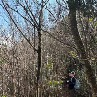 金山から戻ってきたミカエルさん。お花がたくさん咲いてたよ٩(^‿^)۶って。