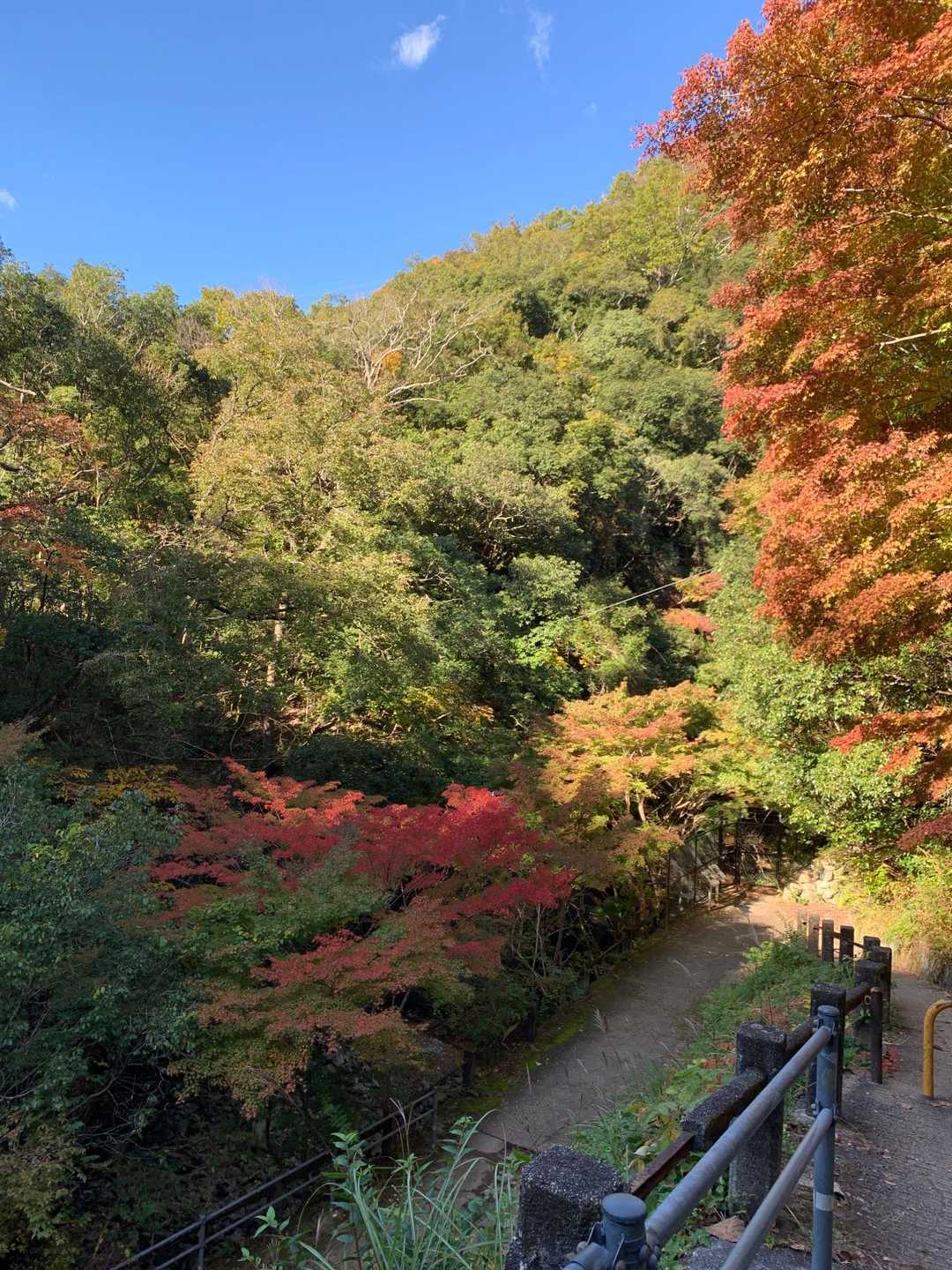 新神戸駅-滝山城跡登山口-東門-料金所-正門 縦走コースの写真