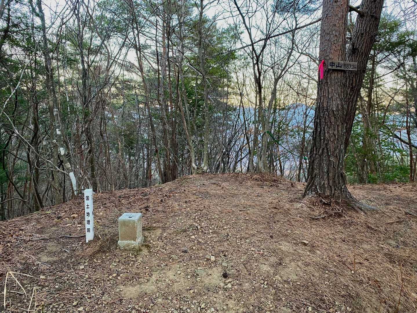 中山の山頂、三角点と国土地理院の杭。