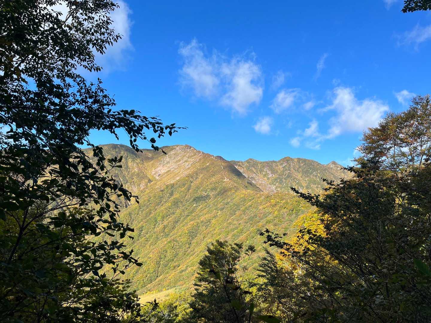 御沢登山口-横峰 往復コースの写真