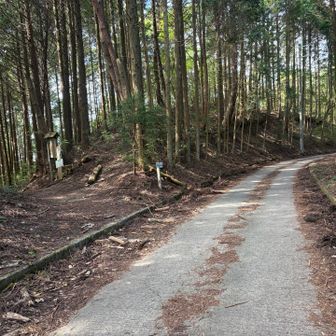 今日は犬鳴方面ではなく、貝塚へ帰るので直進🏃‍♂️