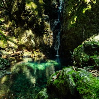 言うばかりで計画できない
残念なせんさん…