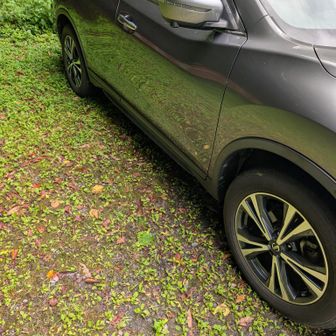 無事下山でーす！