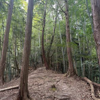 良い道