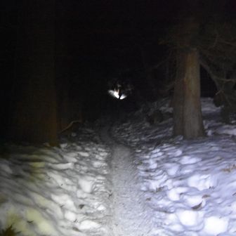 さて登りましょ

溶けた雪が凍結してガチガチ
