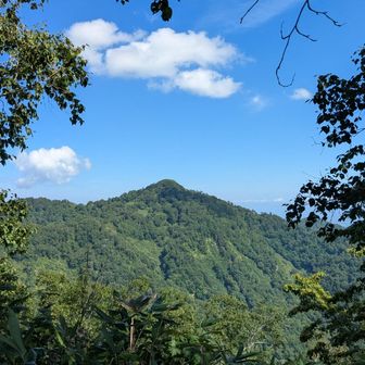百松沢山