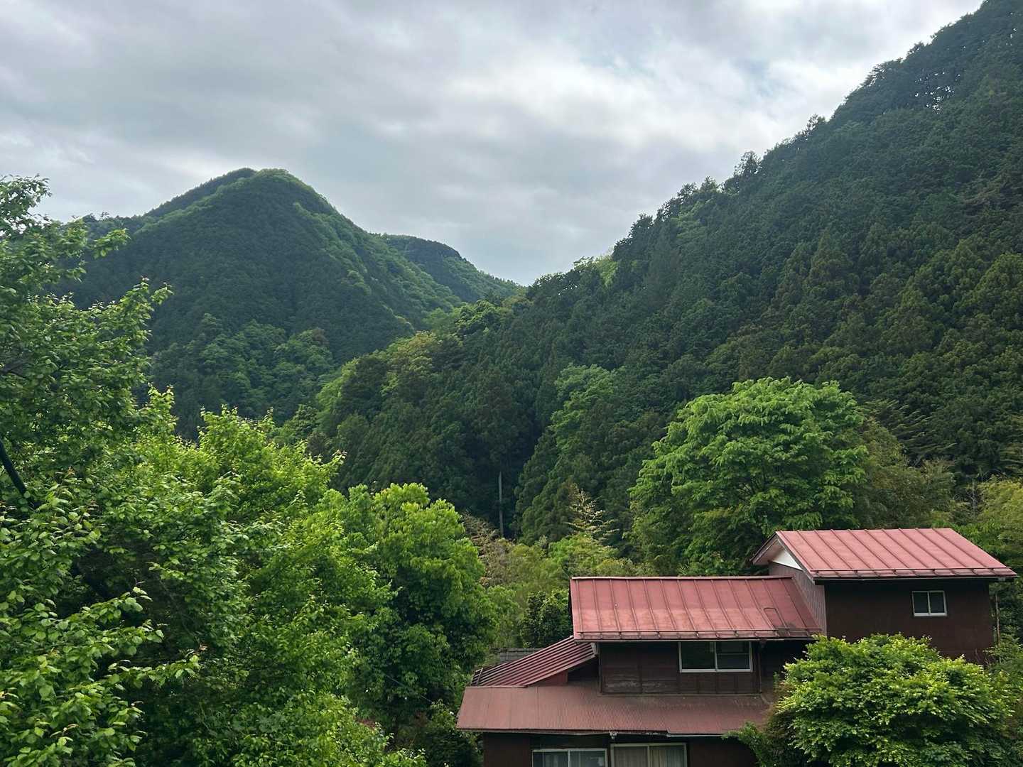 鳩ノ巣駅-大根ノ山ノ神-瘤高山-本仁田山 周回コースの写真