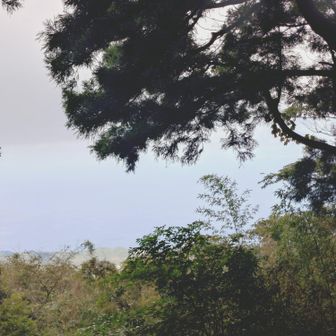 はいガスガスです⭐
くぅ～期待してたのに⛰️⛰️さっきの晴れは何処へいった🤣🤣