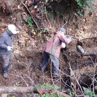 ステップを設けています