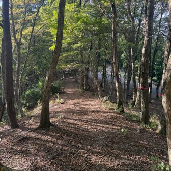 五波峠手前まで帰ってきました。秋の午後は日が横から当たり始めると少し焦ります