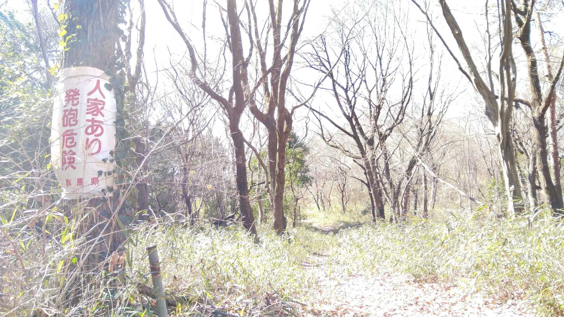 ちょっと戻ってアスファルトの道路の脇に兎山への登山口?がありました。
「人家あり発砲危険」が目印です🔫