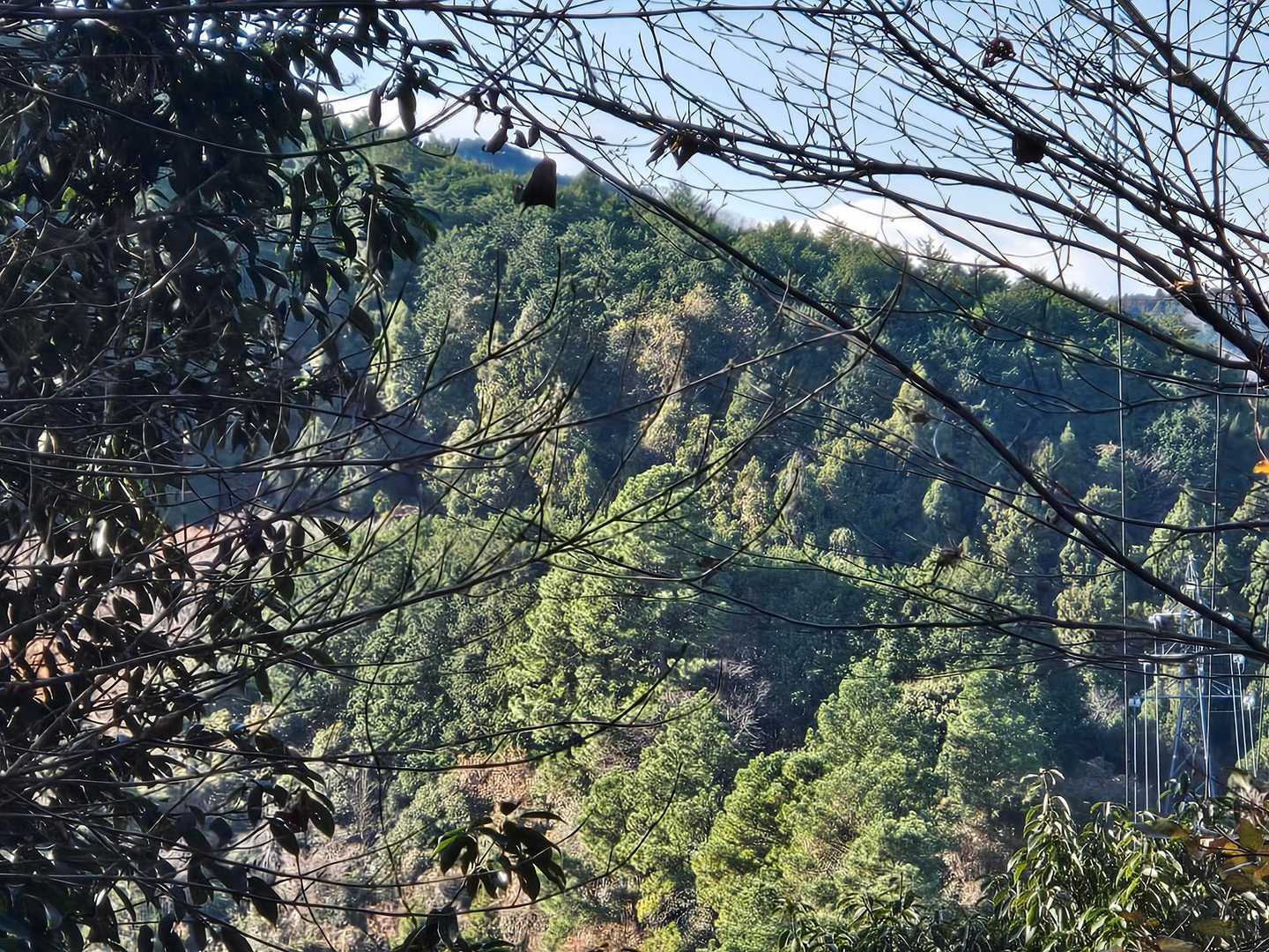 高尾山口駅-草戸峠-草戸山 往復コースの写真
