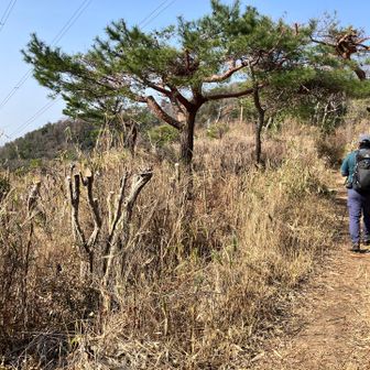歩きやすい笹道