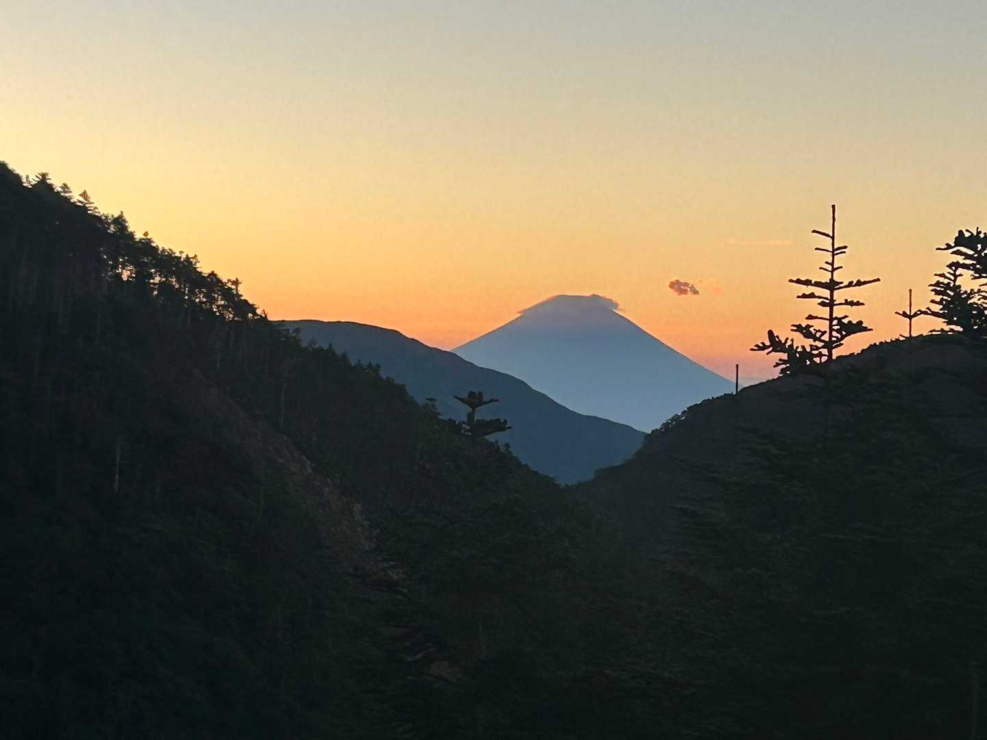 聖岳往復 | 急峻な見た目ながら、手軽に高山植物と360度の大パノラマを楽しめるの写真