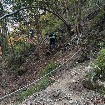 急登で紅葉谷道に戻ります　本当は七曲滝を高巻きに登るルートでと思いましたが、また今度