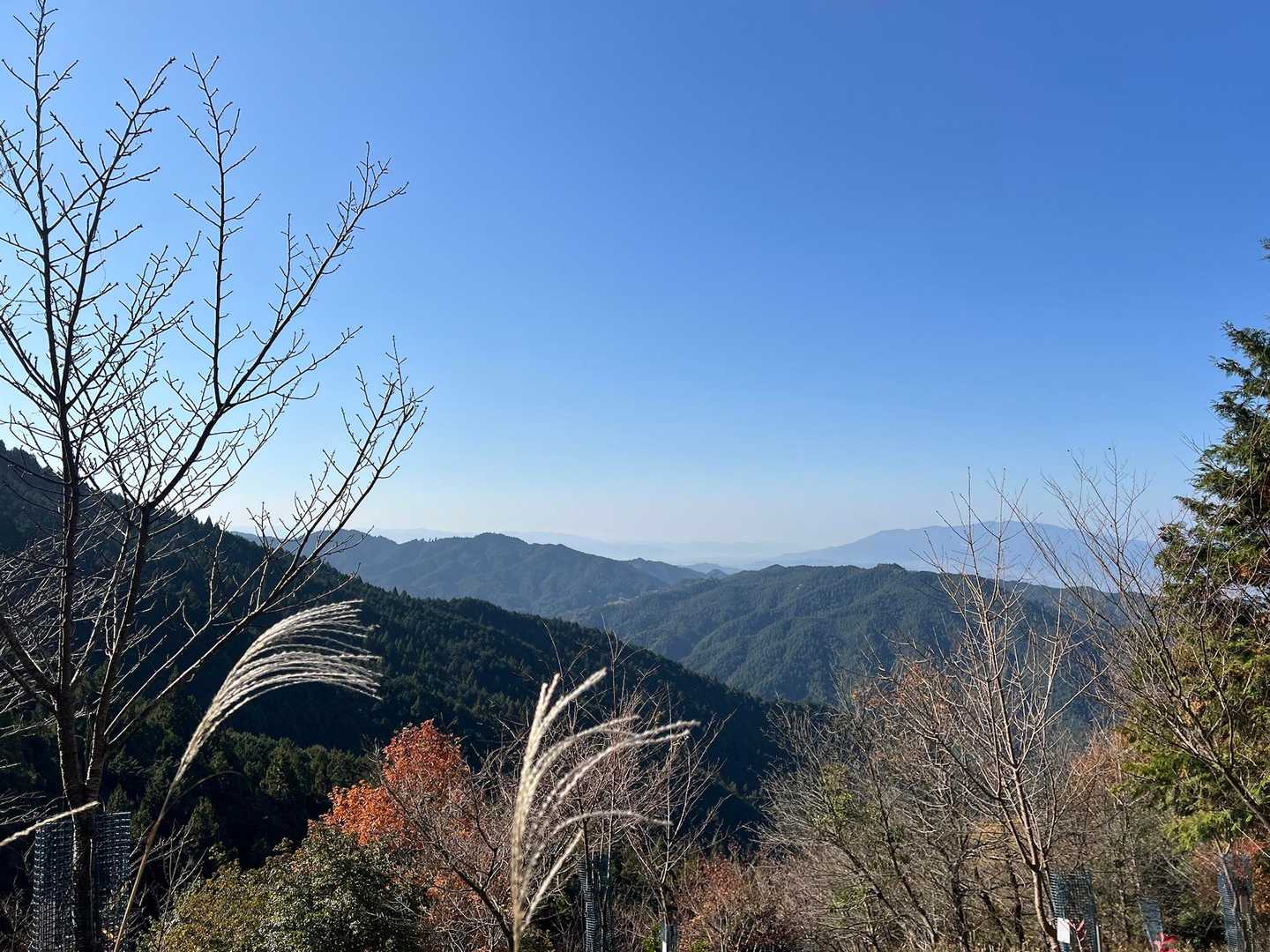 ススキ🌾もいい感じ