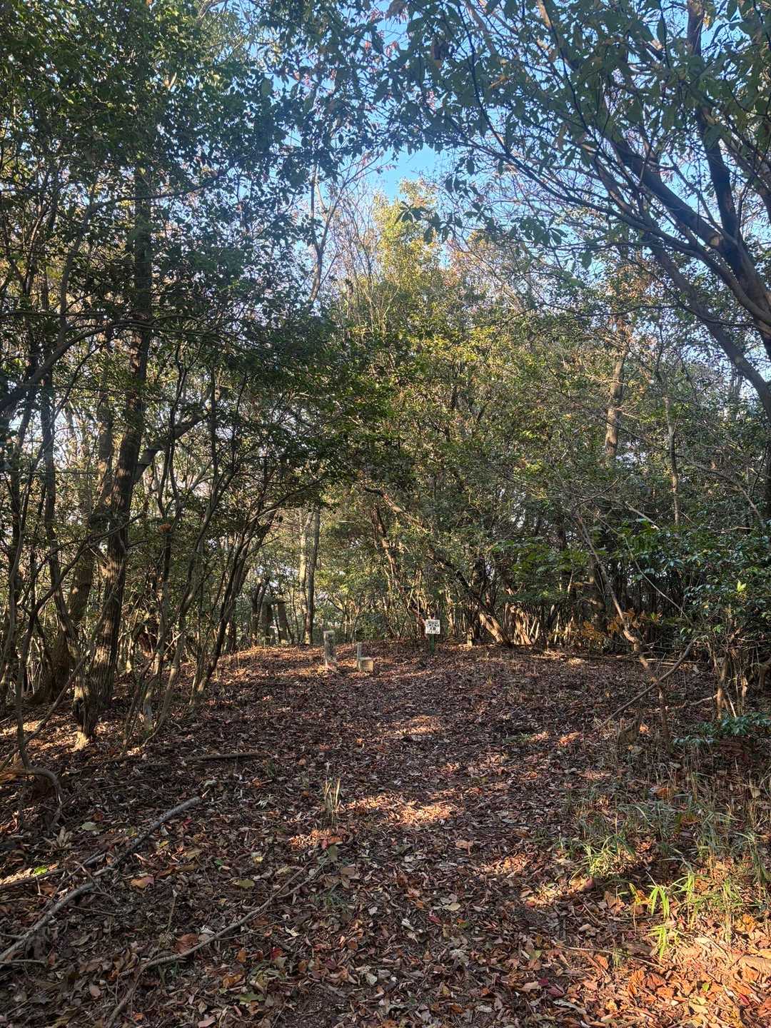 四尋山-鳥ノ江峠-御嶽山 縦走コースの写真