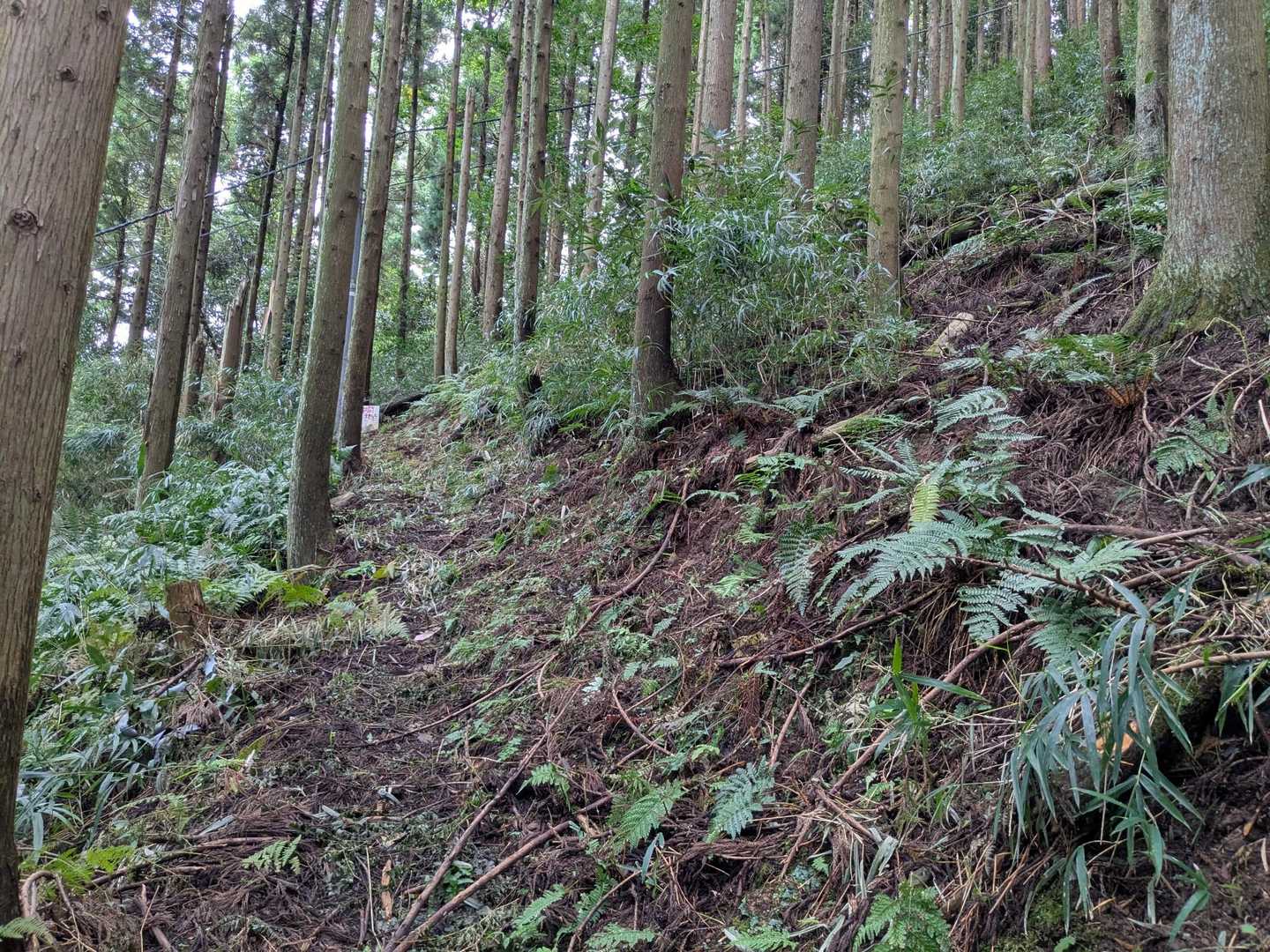 歩きやすいつづら折り