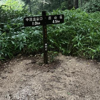 やっと雨の第一ベンチ。登山道は川です。