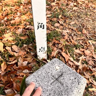 みんなの真似して三角点タッチ