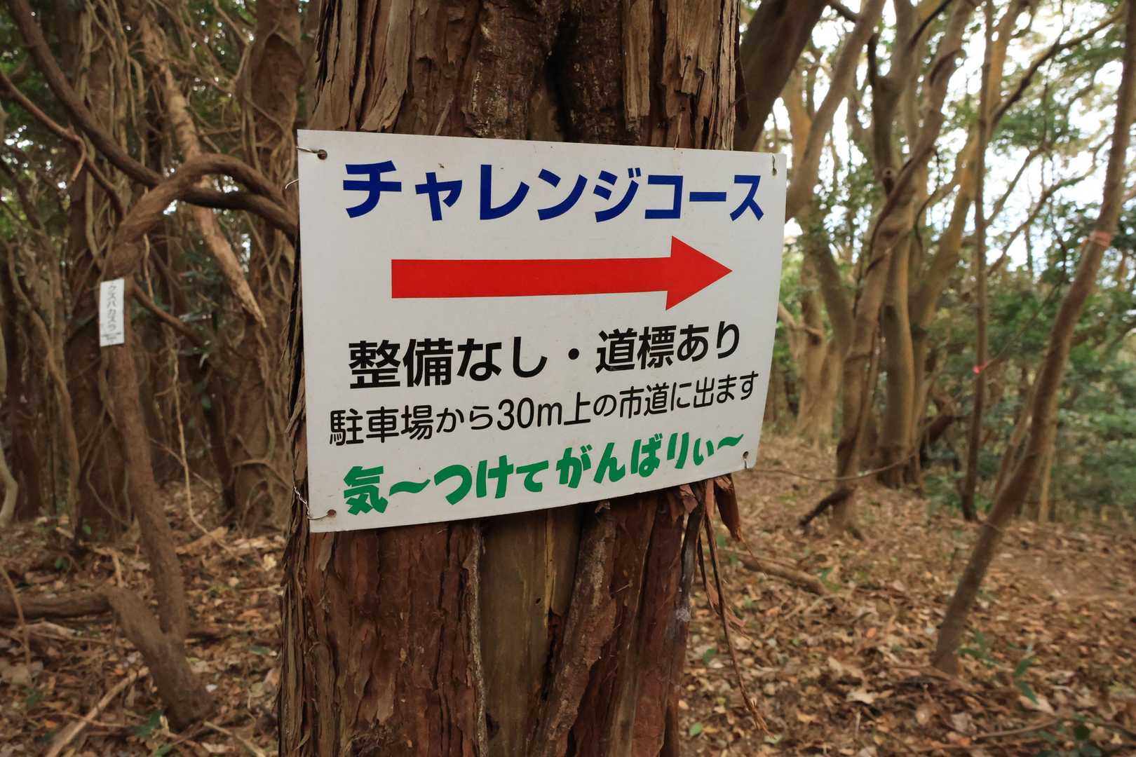 登ったところにコレがあった
どうりで道の不明瞭なとこが多いなと思った