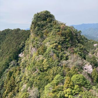 雌岳から見た雄岳
桜が奇麗🪷