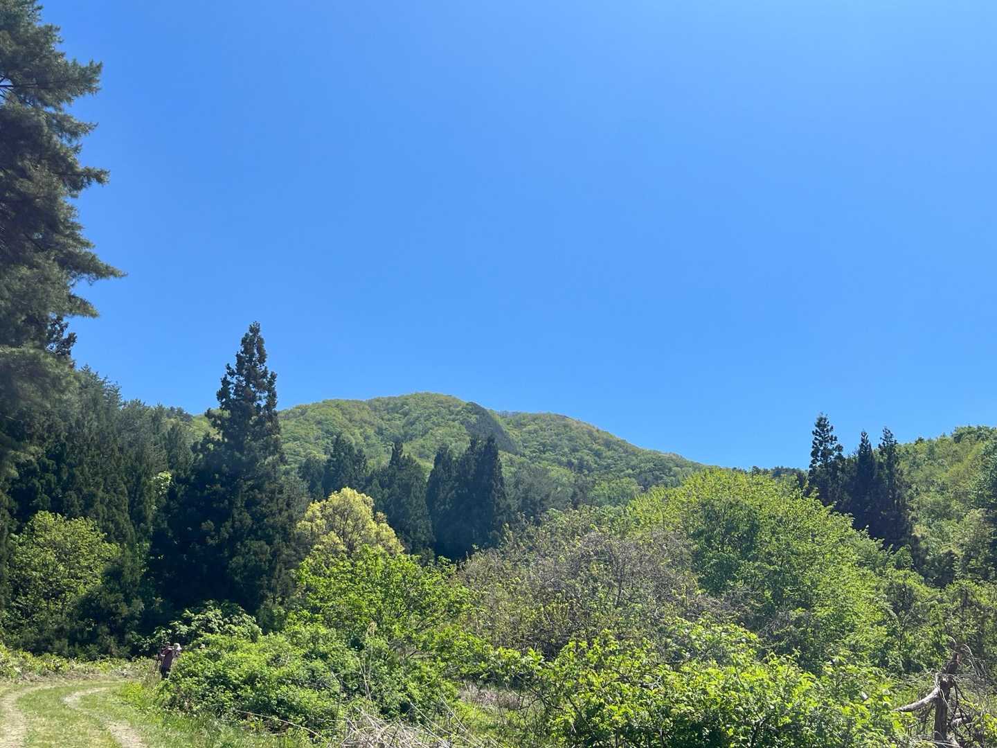 初めての口太山〜
本日は山開きだったようでございます。。

私はいつもながらの遅いスタートなので
静かな登山。。