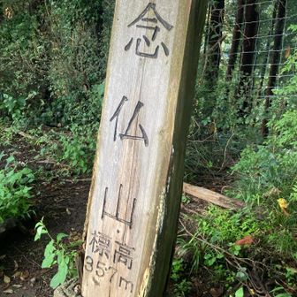 🙏
歯はないけど
山行のペースだけは良い🙆