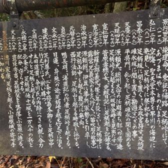 足柄峠を通った歴史的人物の一覧
有名人が多い……