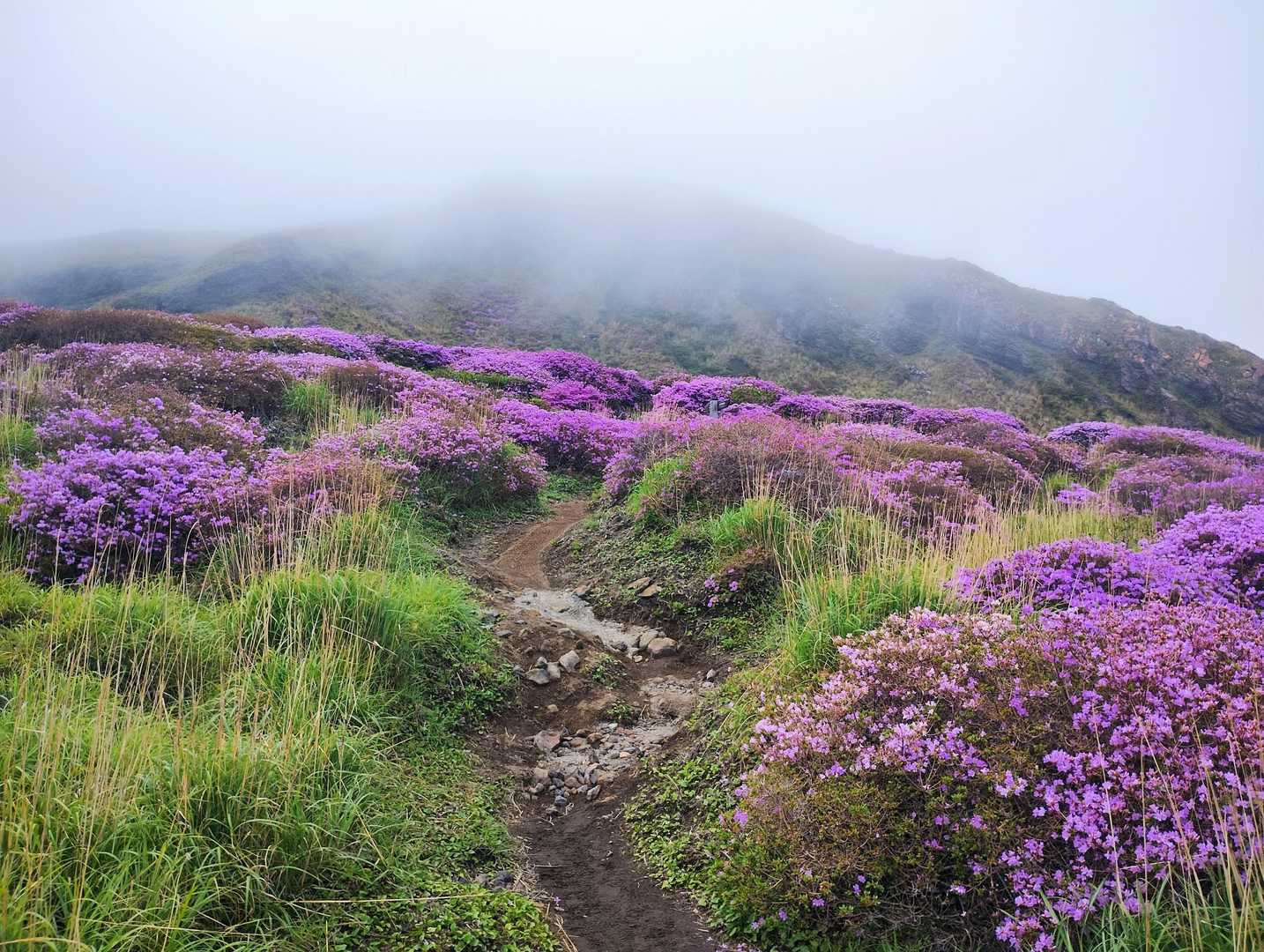 皿山 往復コースの写真